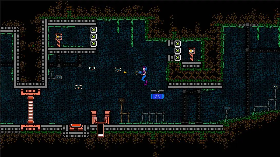 图片[4]-【美版】苏加梅尼亚 .SUGAMENIA-游糖YoTeb