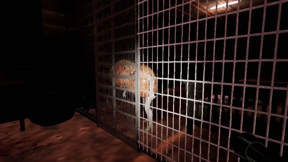 图片[3]-【日版】疯人院|被感染的豪宅 THE MADHOUSE | Infected Mansion-游糖YoTeb