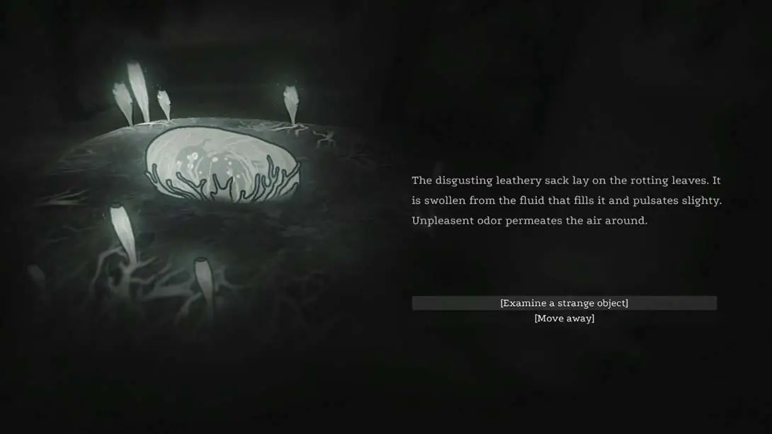 图片[3]-【美版】Rooten-游糖YoTeb