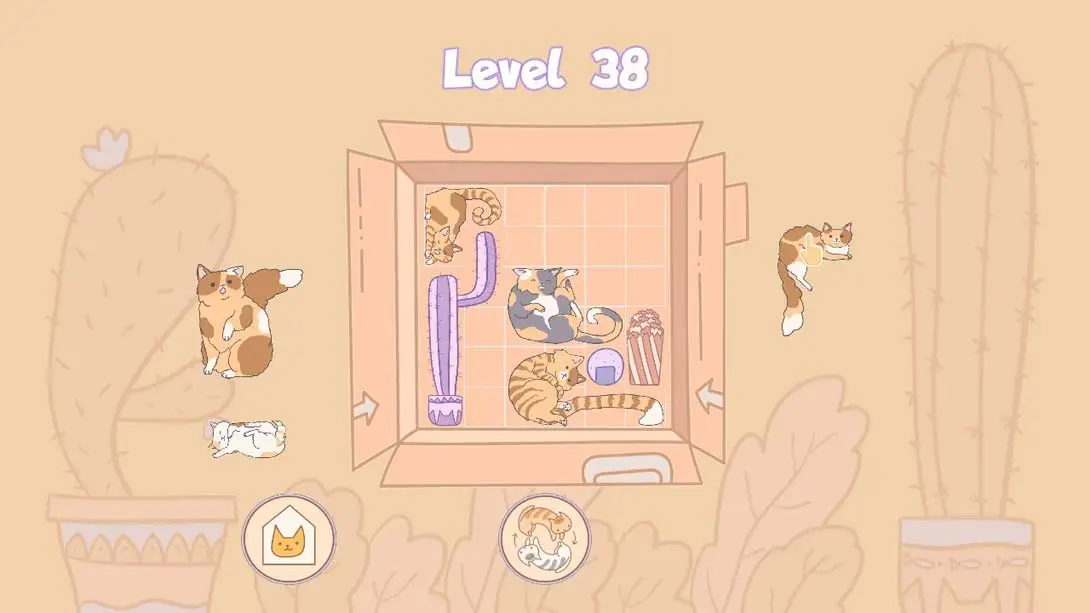 图片[4]-【美版】盒中猫 .Cats in Boxes-游糖YoTeb