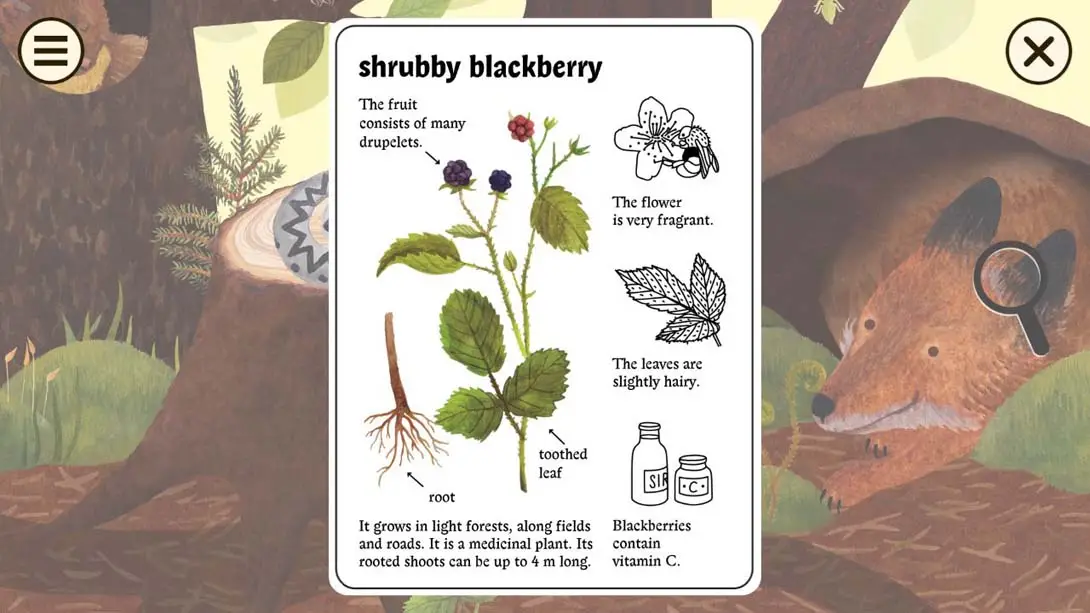 图片[4]-【美版】小老鼠百科全书 Little Mouse’s Encyclopedia-游糖YoTeb