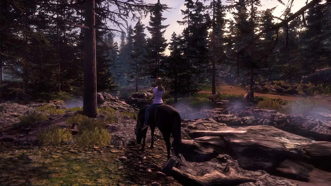 图片[2]-【美版】骏马奥斯温 Windstorm-游糖YoTeb