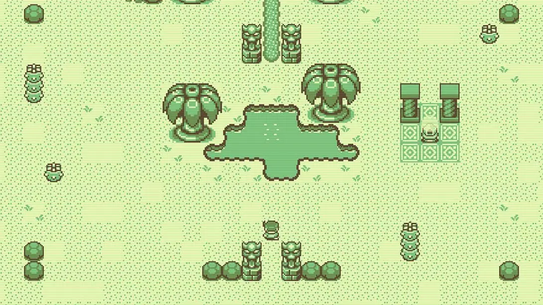 图片[6]-蒂莫西和神秘的森林 Timothy and the Mysterious Forest-游糖YoTeb