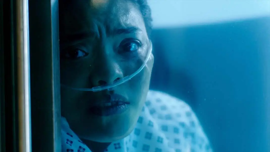 图片[6]-集群 The Complex-游糖YoTeb