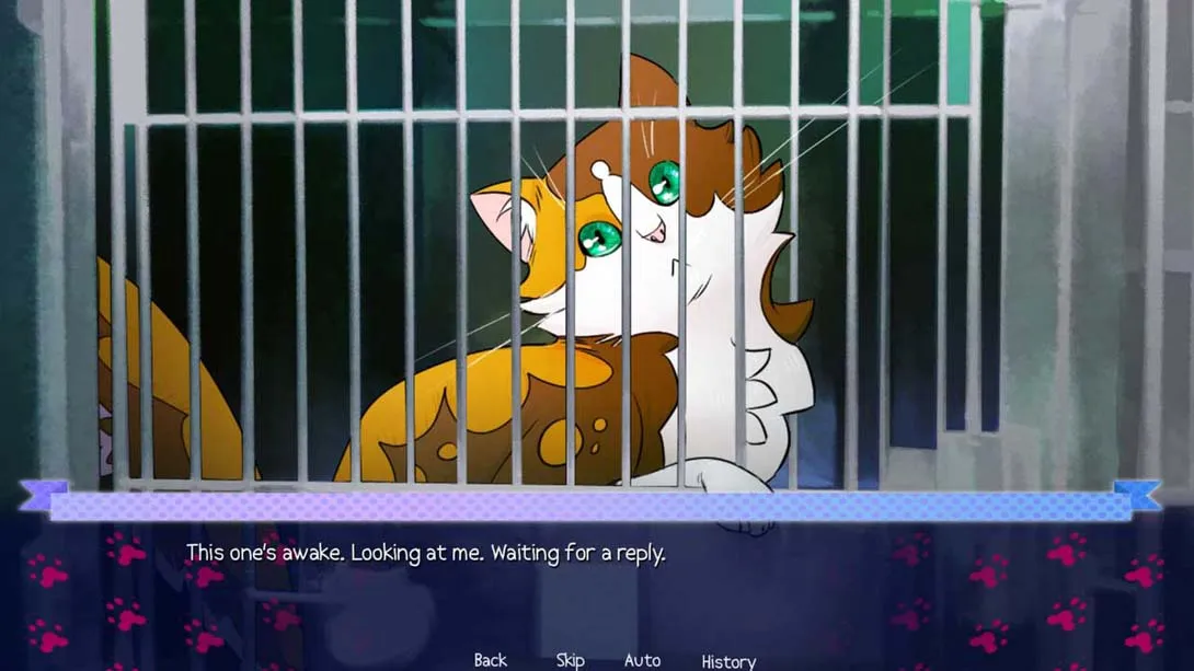 图片[2]-【美版】Animal Lover-游糖YoTeb