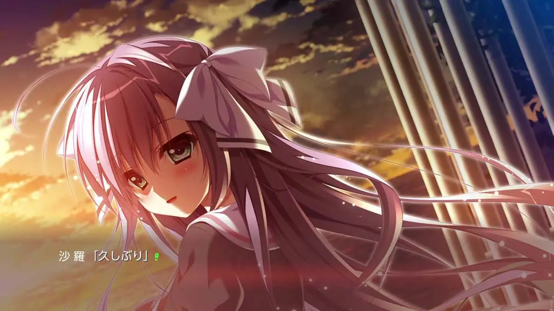 图片[2]-【日版】TRINOLINEE トリノライン-游糖YoTeb