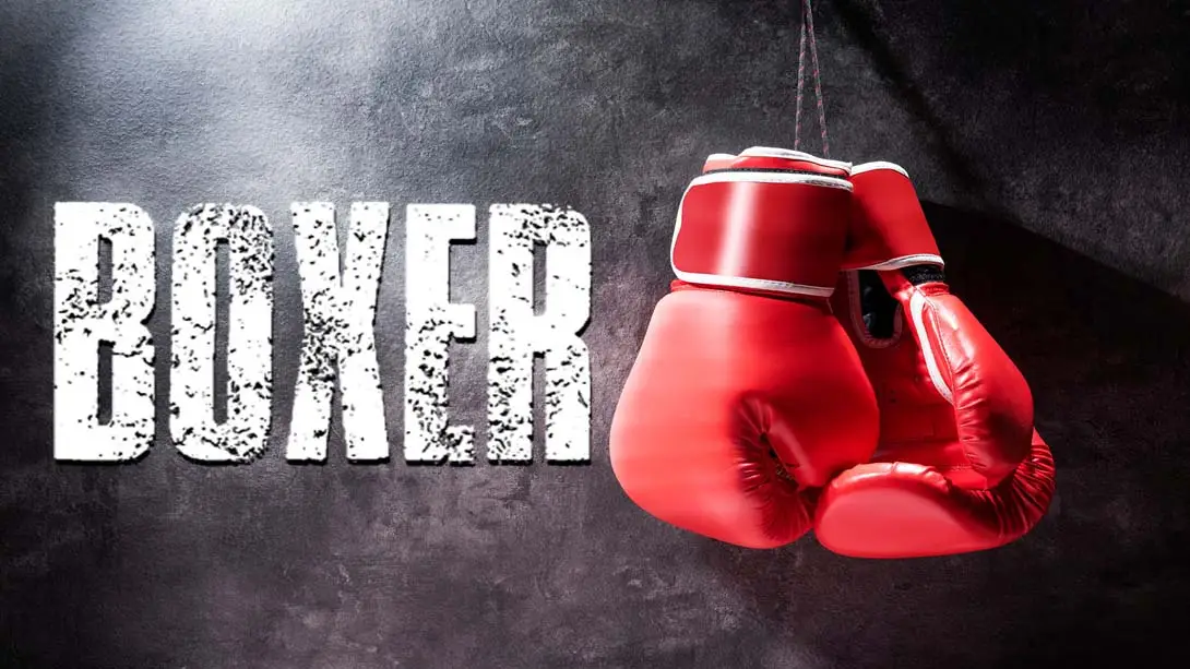 【日版】拳击手 Boxer-游糖YoTeb