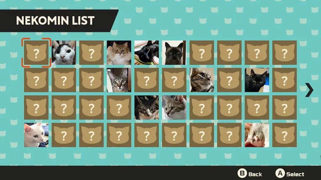 图片[2]-【美版】喵咪 NEKOMIN-游糖YoTeb