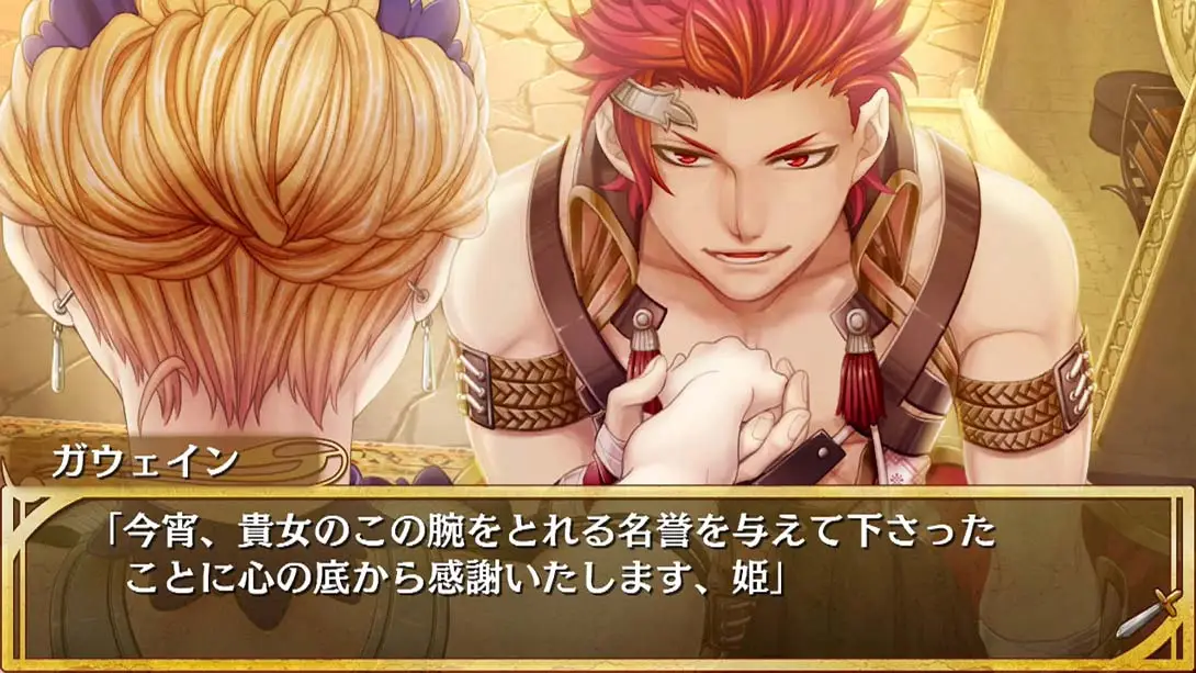 图片[1]-【日版】亚瑟公主 .Princess Arthur for Nintendo Switch-游糖YoTeb