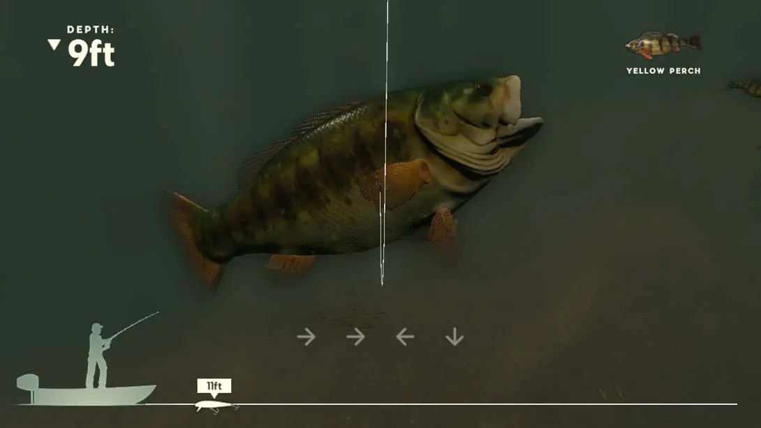 图片[4]-诺马职业钓鱼 Rapala Fishing: Pro Series-游糖YoTeb