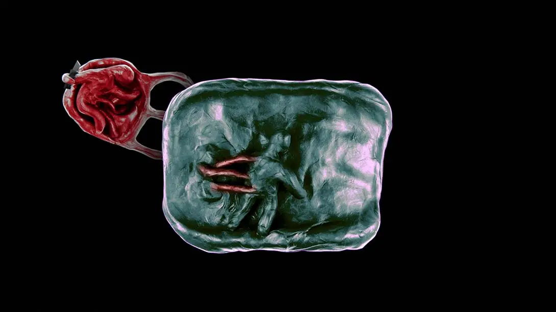 图片[6]-呢喃玩偶 Isolomus-游糖YoTeb