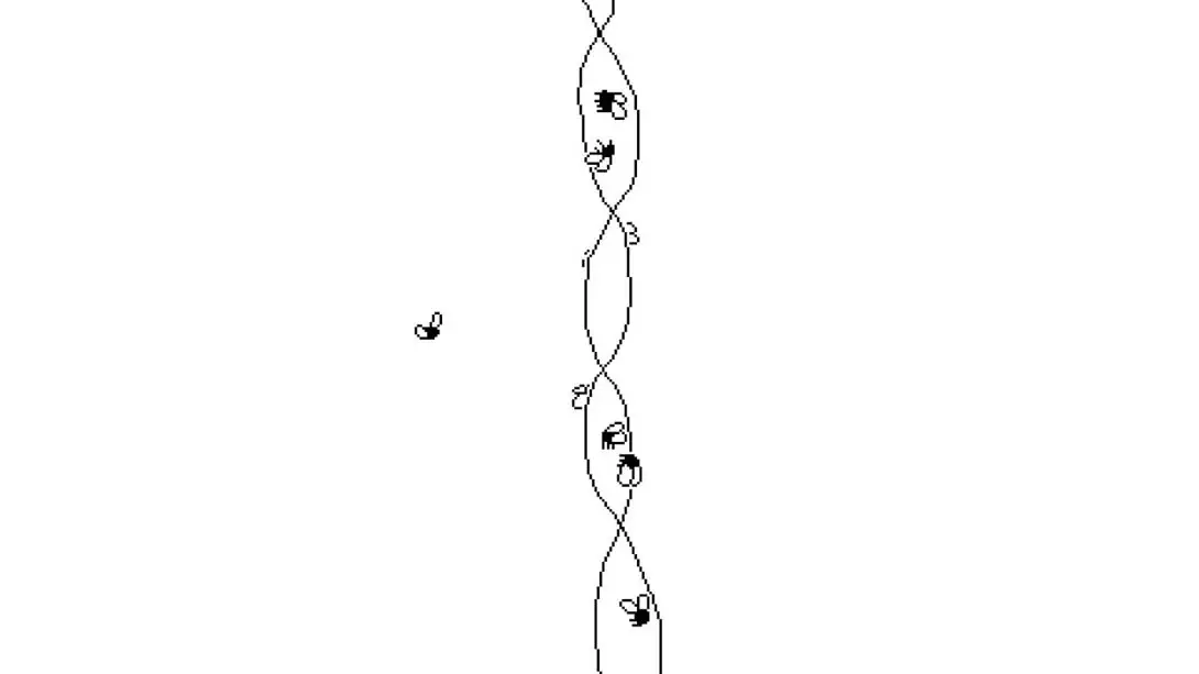 图片[1]-【美版】逝者如斯蝇 .Time Flies-游糖YoTeb