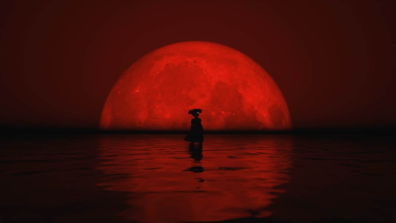 载体/Unwilling Host-游糖YoTeb