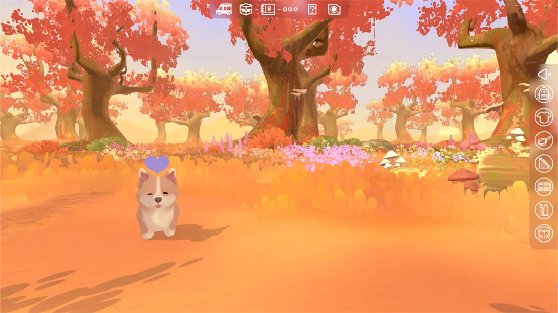 图片[5]-【美版】露营车 家的旅程 .Camper Van Make it Home-游糖YoTeb