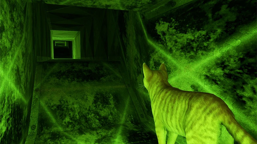 图片[4]-【美版】小猫大营救2 .Little Strays 2-游糖YoTeb