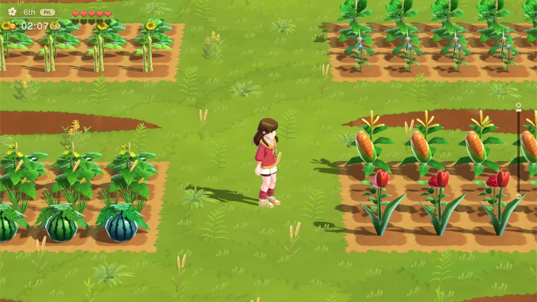 图片[1]-【美版】牧场物语：甜蜜之家 特别版 .Harvest Moon: Home Sweet Home Special Edition-游糖YoTeb