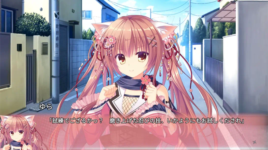 图片[3]-【日版】猫忍者心 .NEKO-NIN exHeart-游糖YoTeb